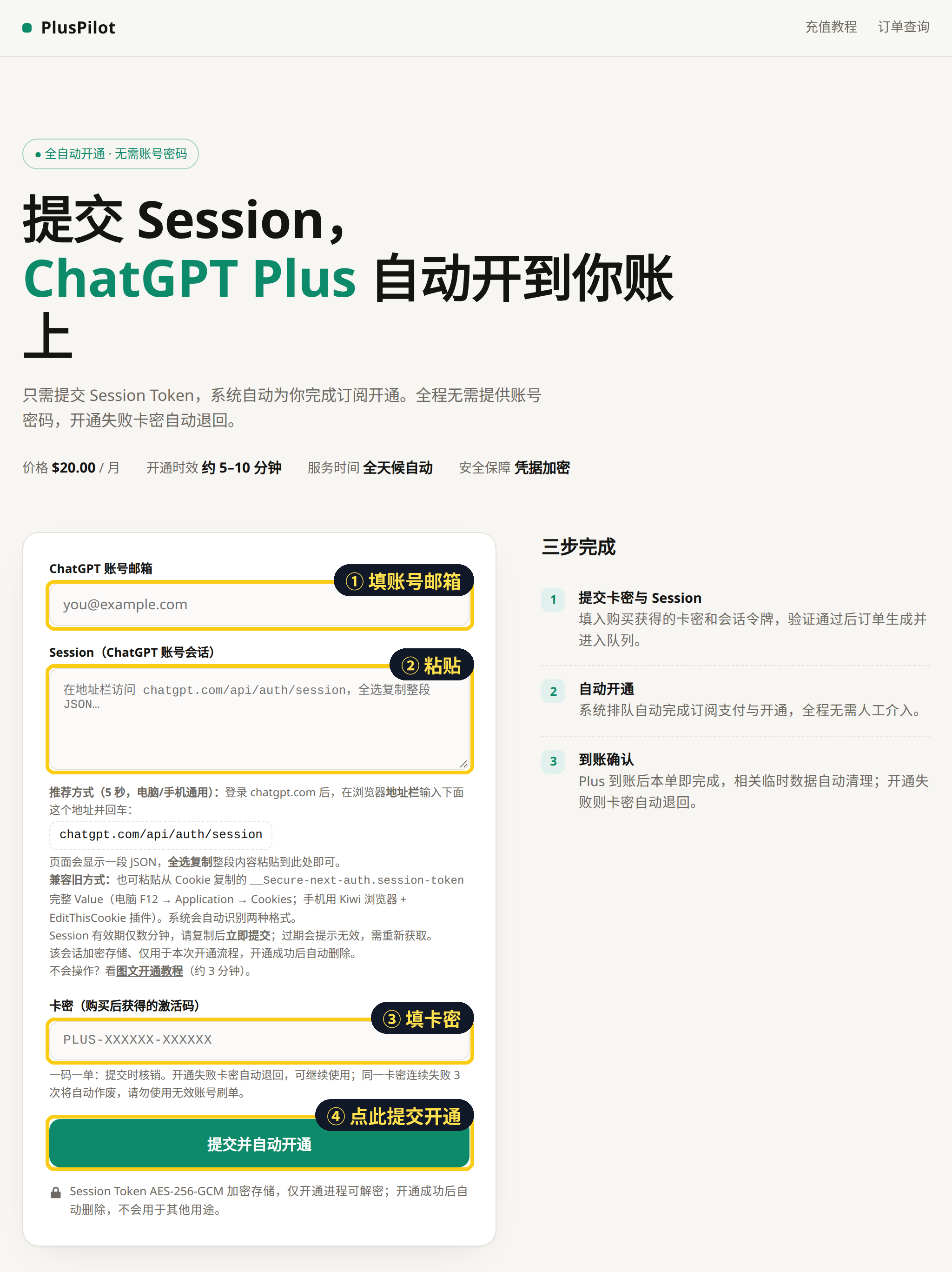PlusPilot 首页下单表单真实截图